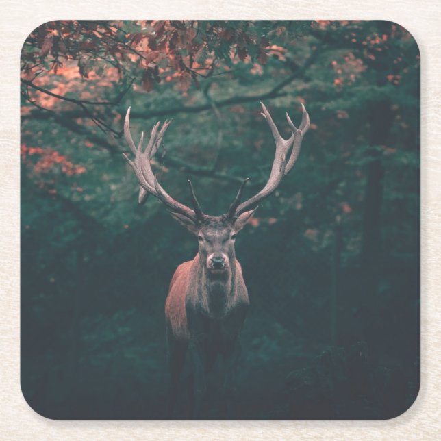 Buck Deer Wild Animal Square Paper Coaster (Front)