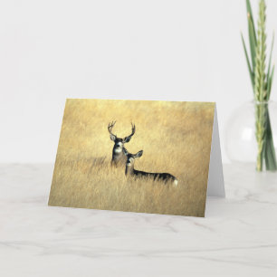 BUCK & DOE CARD