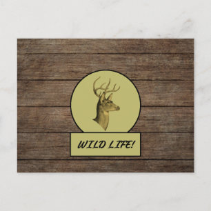 Buck Head Dark Wood Postcard