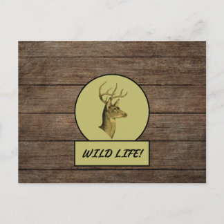 Buck Head Dark Wood Postcard