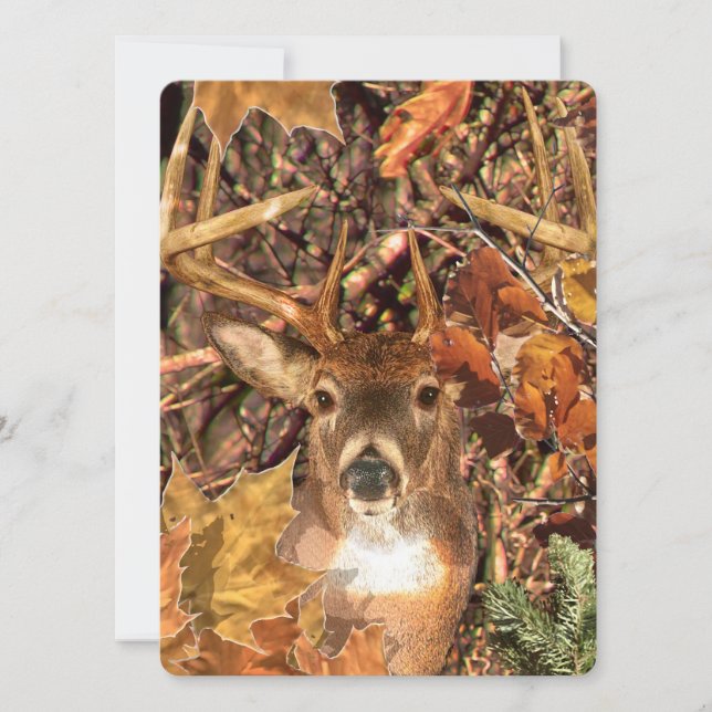 Buck in Camo White Tail Deer (Front)