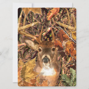 Buck in Camo White Tail Deer