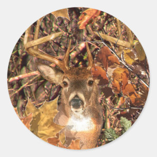 Buck in Camo White Tail Deer Classic Round Sticker