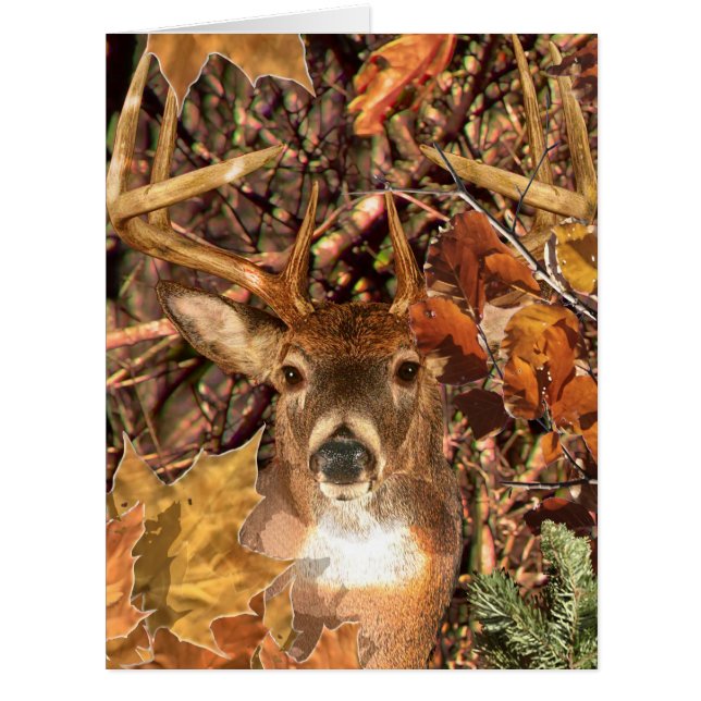 Buck in Fall Camo White Tail Deer (Front)