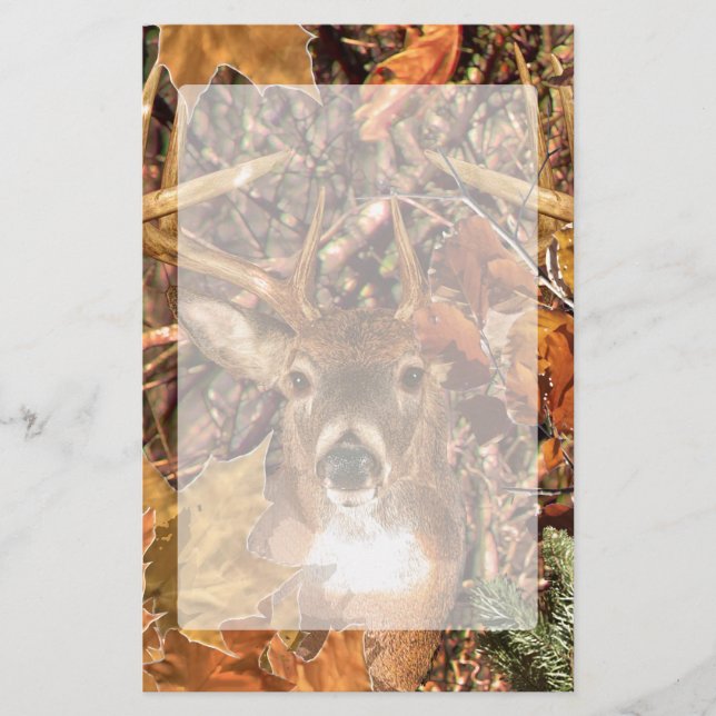 Buck in Fall Camo White Tail Deer Stationery (Front)