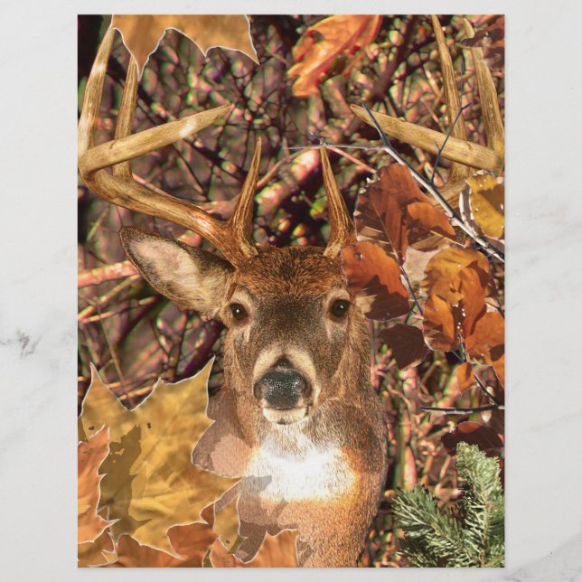 Buck in Hunter Camo White Tail Deer (Front)