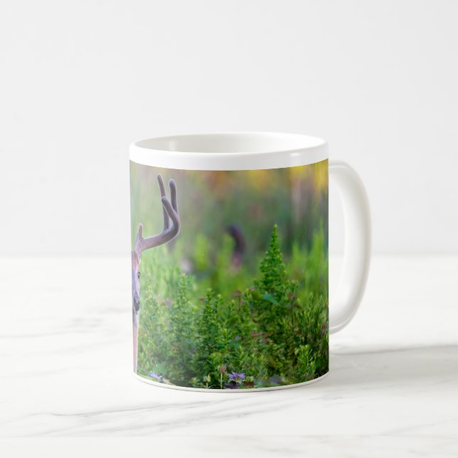 Buck in meadow  coffee mug (Front Right)