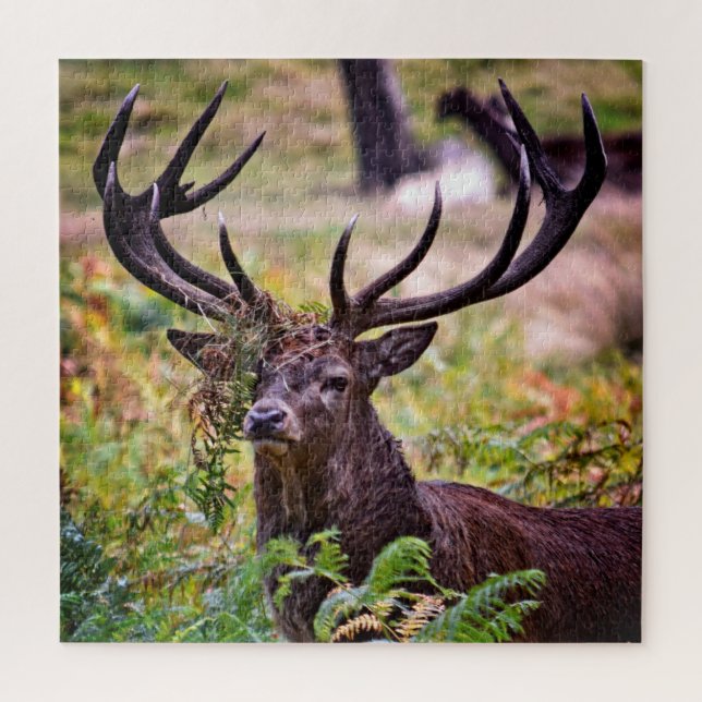 Buck in Richmond Park - 20x20 - 676 pieces Jigsaw Puzzle (Vertical)