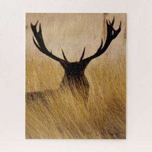 Buck in the Brush - 16x20 - 520 pieces Jigsaw Puzzle