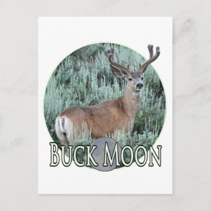 Buck moon postcard