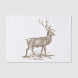 Buck Mule Deer Letterpress Style Tissue Paper