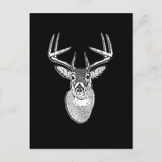 Buck on Black White Tail Deer classic Postcard (Front)
