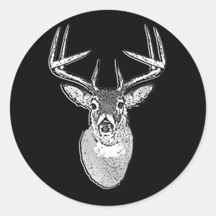 Buck on Black  White Tail Deer Classic Round Sticker