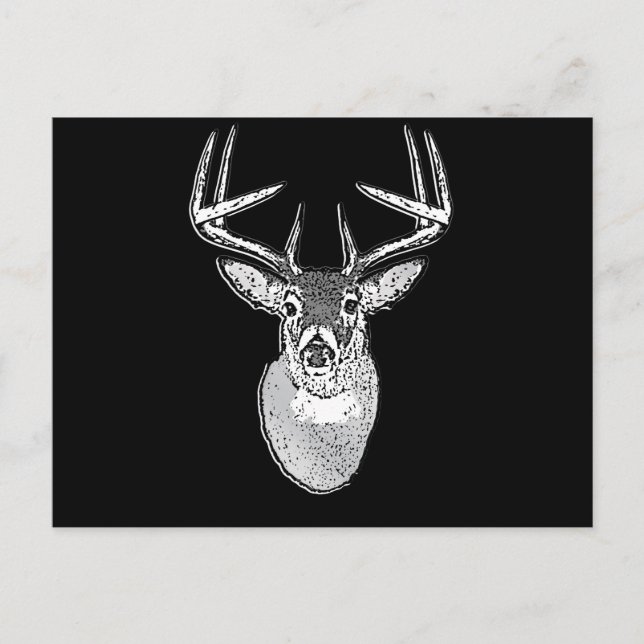 Buck on Black White Tail Deer head Postcard (Front)