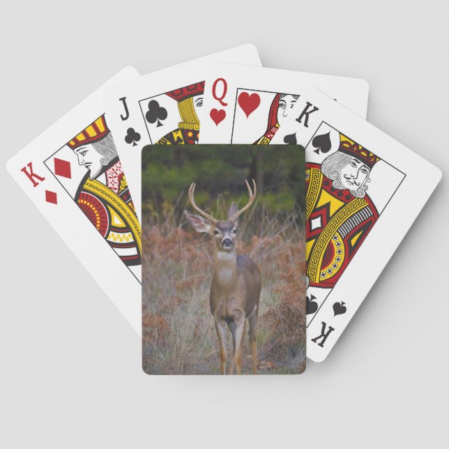 BUCK PLAYING CARDS (Back)