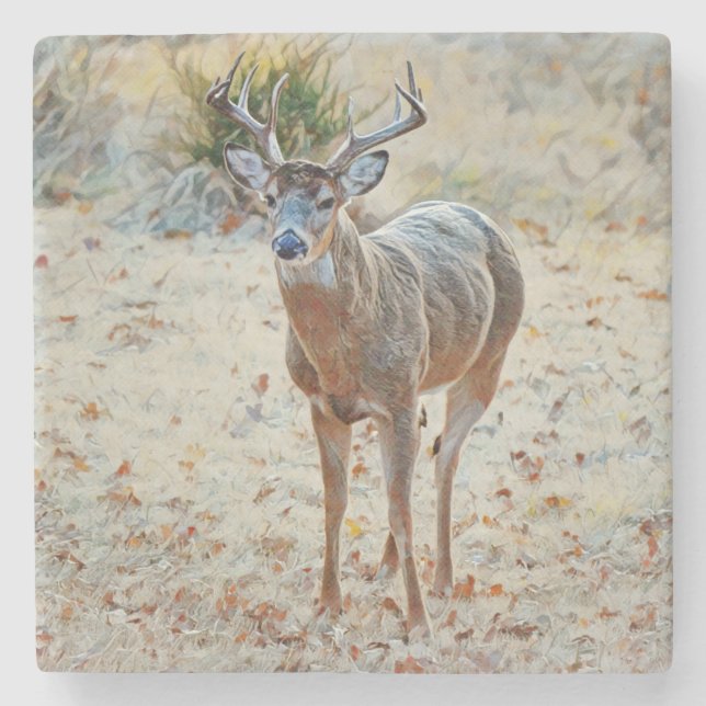 Buck Wild Deer in Texas Stone Coaster  (Front)