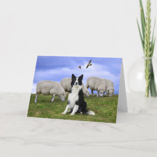 "Buckeroo On Duty" Greeting Card