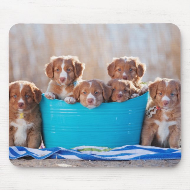 Bucket Of Puppies On The Beach Mouse Pad (Front)