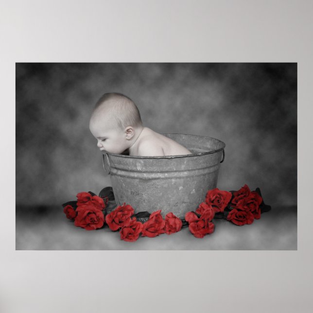 Bucket & Roses Poster (Front)