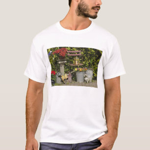 Buckets, shoes, and flowers, Zaanse Schans, T-Shirt