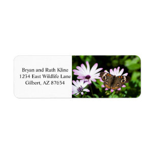 Buckeye Butterfly on Purple Return Address Label