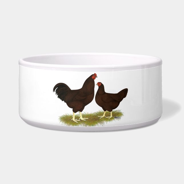 Buckeye Chickens (Front)