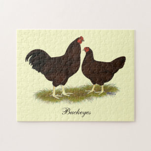 Buckeye Chickens Jigsaw Puzzle