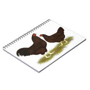 Buckeye Chickens Notebook