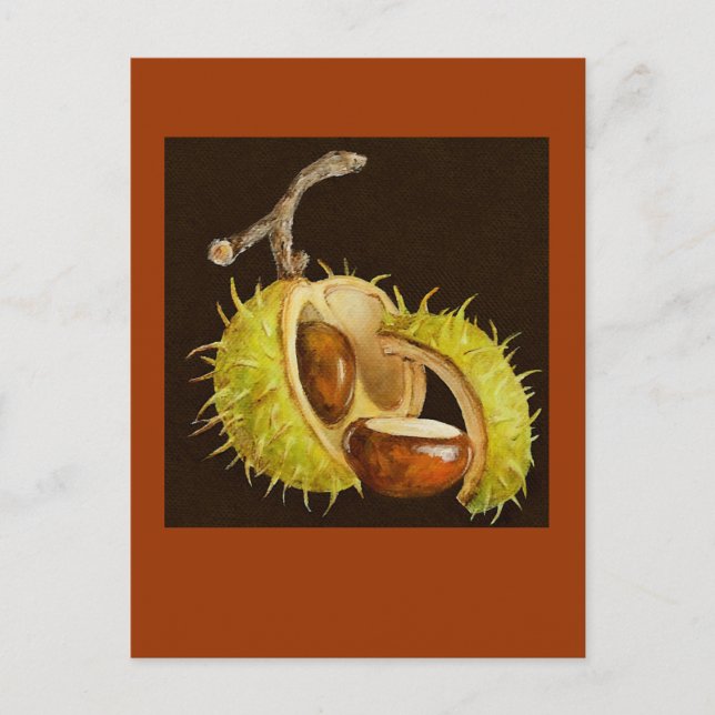 buckeye postcard (Front)