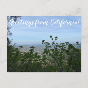 Buckeye view: Los Altos Hills Postcard