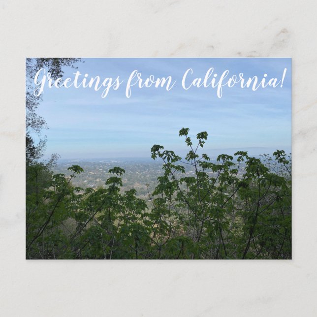 Buckeye view: Los Altos Hills Postcard (Front)
