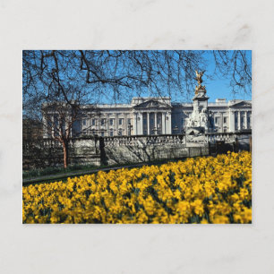 Buckingham Palace, London Postcard