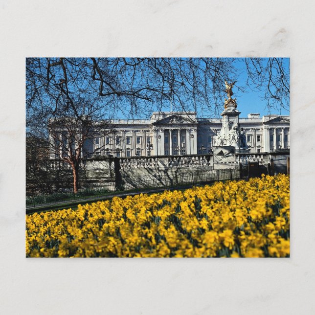 Buckingham Palace, London Postcard (Front)