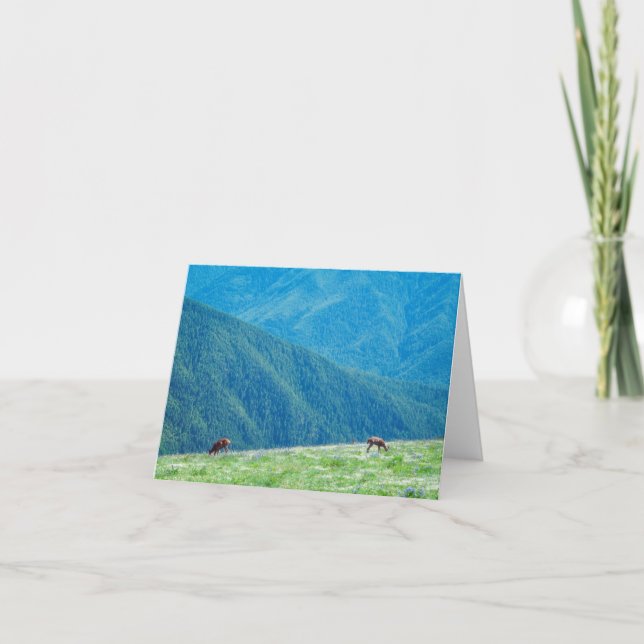Bucks by the Mountains Card (Front)