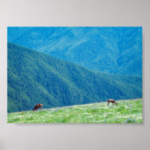Bucks by the Mountains Poster