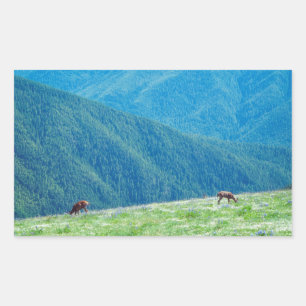 Bucks by the Mountains Rectangular Sticker
