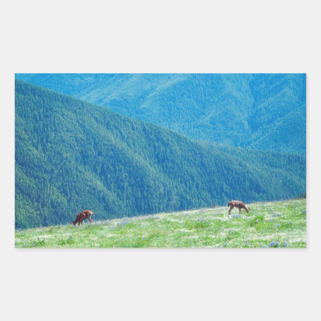 Bucks by the Mountains Rectangular Sticker (Front)