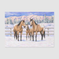 Buckskin Appaloosa Horses In Snow