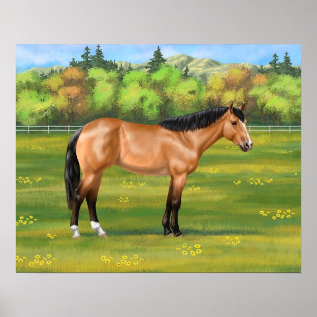 Buckskin Dun Quarter Horse Poster (Front)
