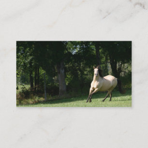 buckskin horse business card 2
