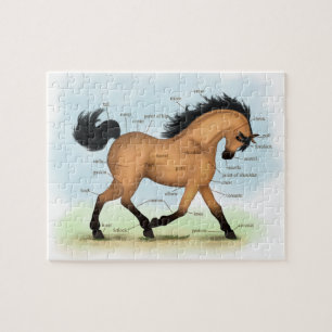 Buckskin Horse Educational Equine Anatomy Jigsaw Puzzle
