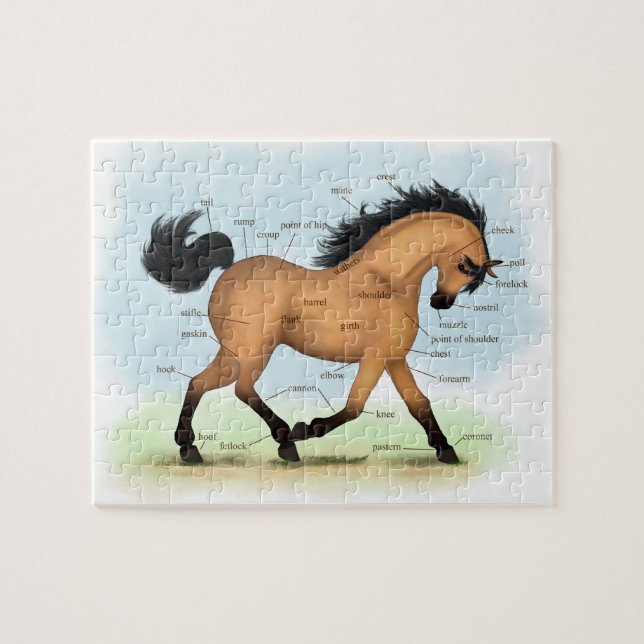 Buckskin Horse Educational Equine Anatomy Jigsaw Puzzle (Horizontal)