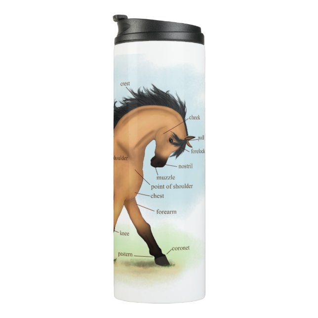Buckskin Horse Educational Equine Anatomy Thermal Tumbler (Rotated Right)