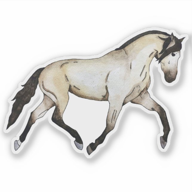 Buckskin Lusitano (Front)