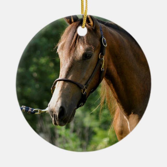 Buckskin Morgan Horse Ceramic Ornament (Front)