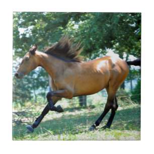 Buckskin Morgan Horse Ceramic Tile