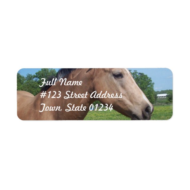 Buckskin Mustang Mailing Label Return Address Label (Front)