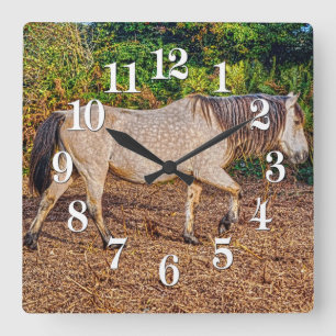 Buckskin New Forest Pony Wildlife Square Wall Clock