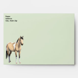 Buckskin Pinto Dun Paint Horse Staillion Envelope