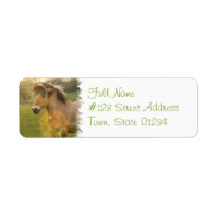 Buckskin Pony Return Address Label
